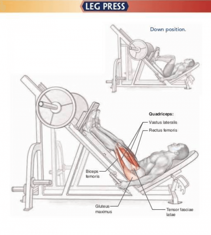 Leg Press - Healthy Fitness Legs Training Exercises