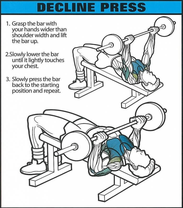 Decline Press- Healthy Fitness Chest Training Exercises Tricep