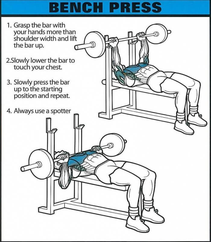 Bench Press - Healthy Fitness Chest Training Exercises Tricep