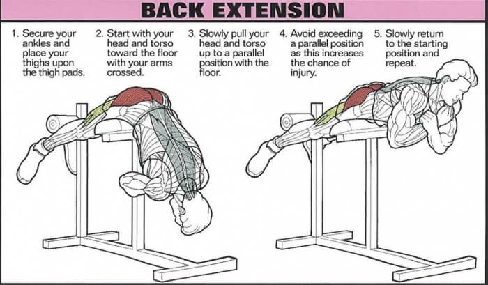 Back Extension - Healthy Fitness Core Training Exercise Butt