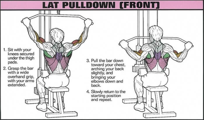 Lat Pulldown Front - Healthy Fitness Core Training Exercise Back