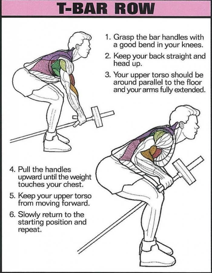 T-Bar Row - Healthy Fitness Back Training Exercise Core Shoulder