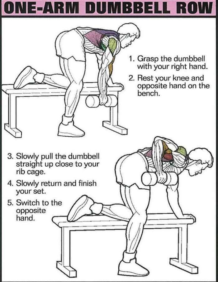 One-Arm Dumbbell Row - Healthy Fitness Back Training Exercise