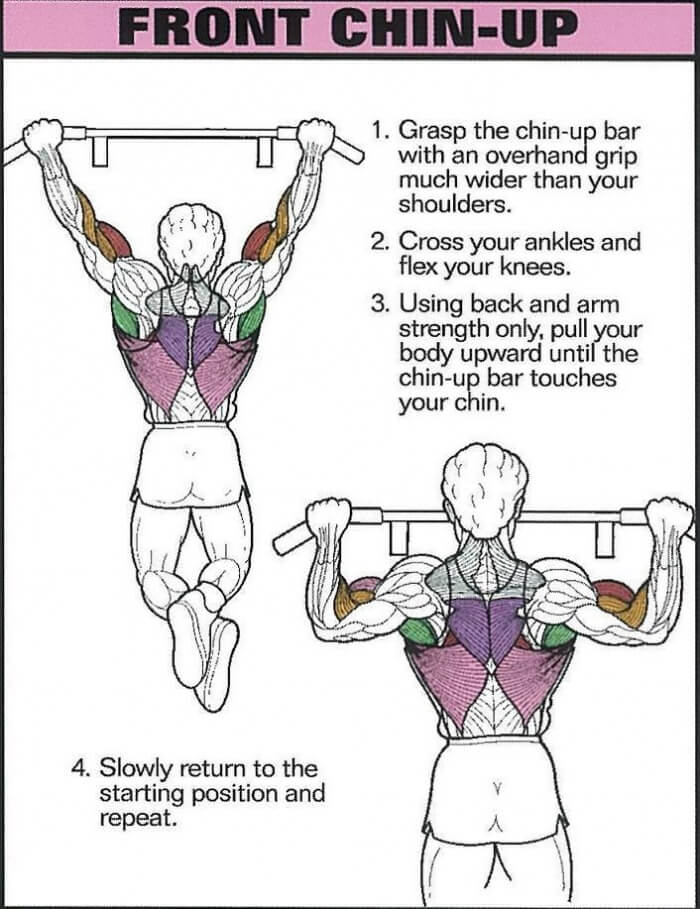 Front Chin-Up - Healthy Fitness Back Training Exercise Arms