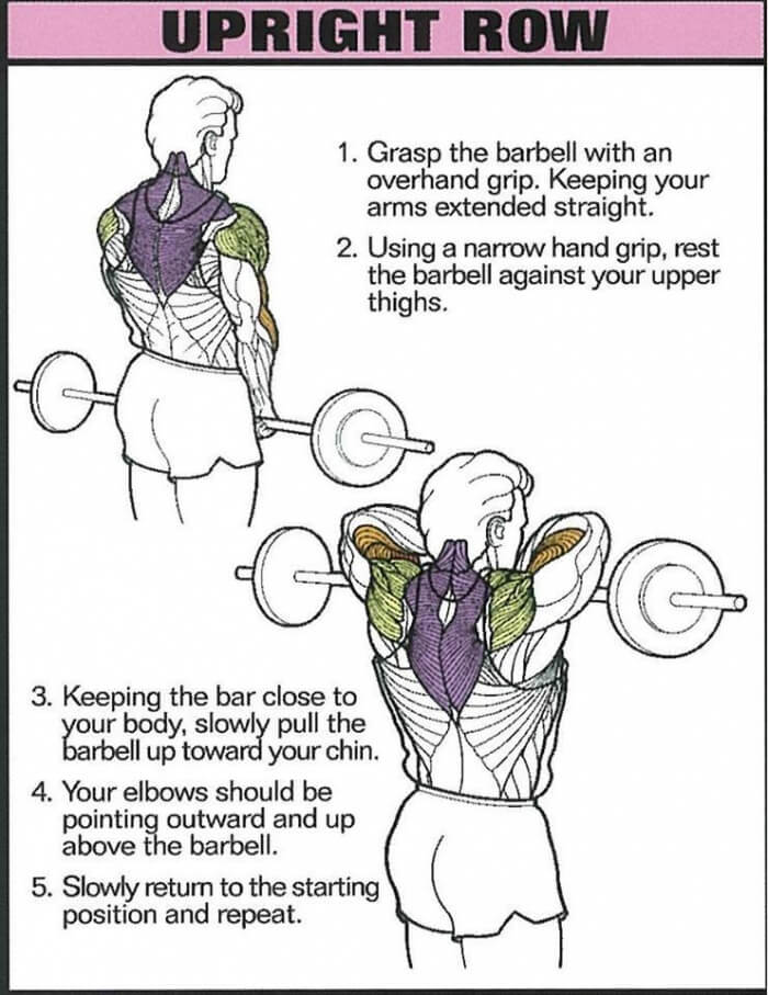 Upright Row - Healthy Fitness Back Training Exercise Arms Neck