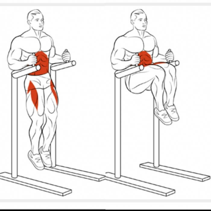 Best Of Sixpack Exercises Part 5 - Healthy Fitness Abs Training