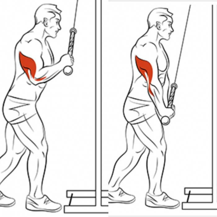 Best Of Triceps Exercises Part 7 - Healthy Fitness Arms Training