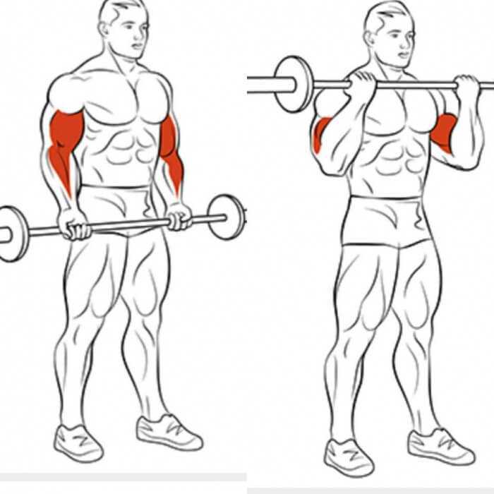 Best Of Biceps Exercises Part 5 - Healthy Fitness Arm Training