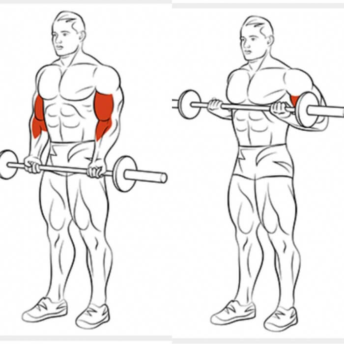 Best Of Biceps Exercises Part 7 - Healthy Fitness Arm Training