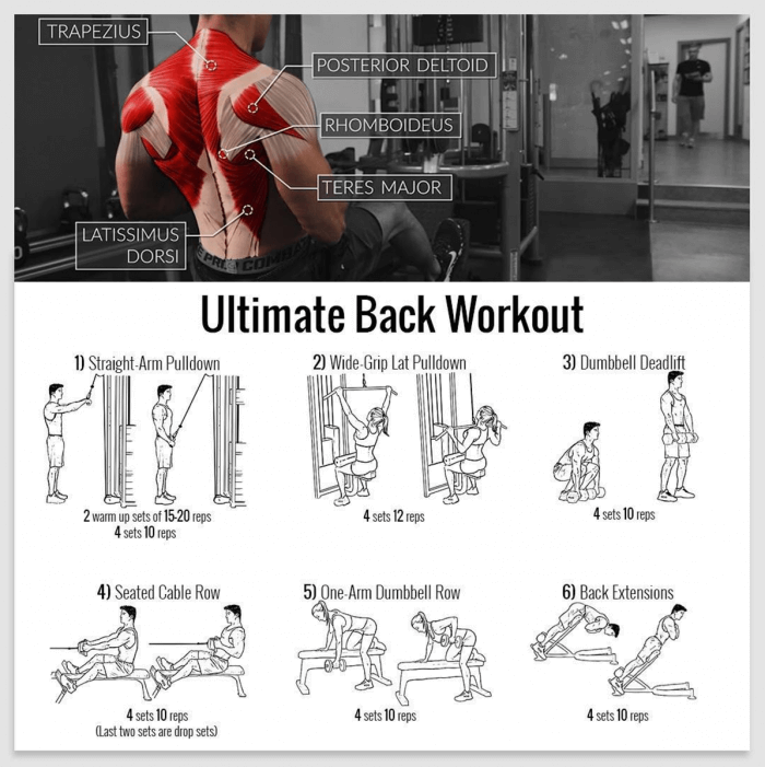 Ultimate Back Workout - Healthy Fitness Try These Exercises Fit
