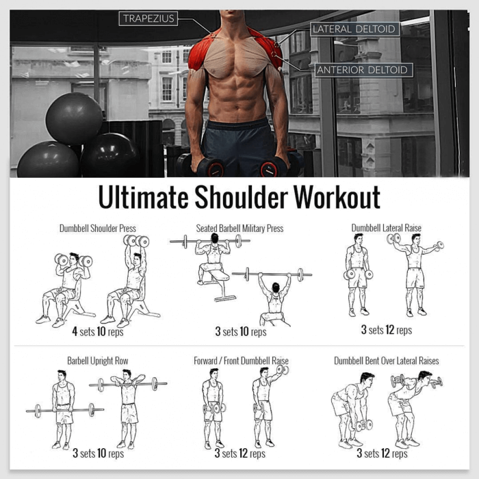 Ultimate Shoulder Workout ! Best Fitness Shoulders Exercise Plan