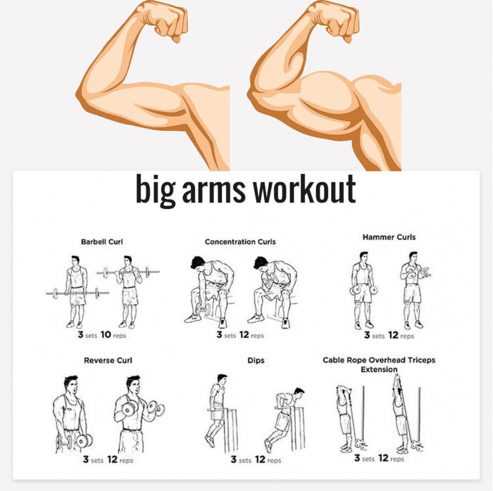 Want Bigger Arms? Try These Exercises ???????? Tag Your Gym Buddy!