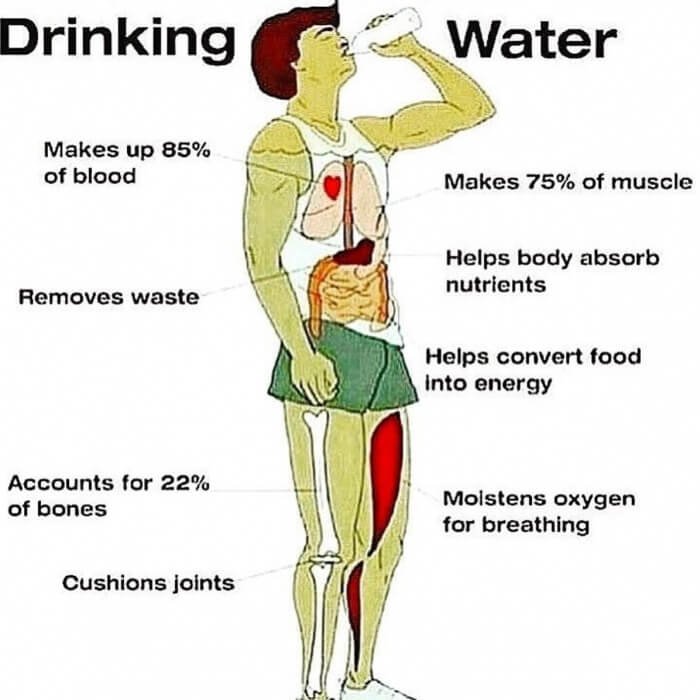 Drinking Water Facts - Healthy Fitness Tips