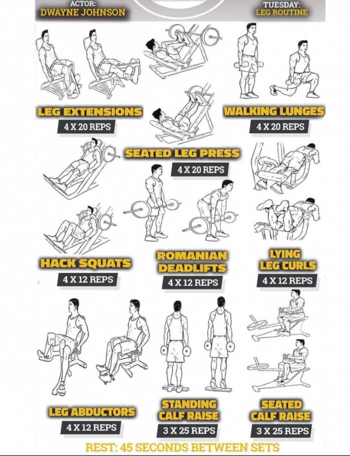 LEG ROUTINE by DWAYNE JOHNSON Healthy Fitness Workout Plan