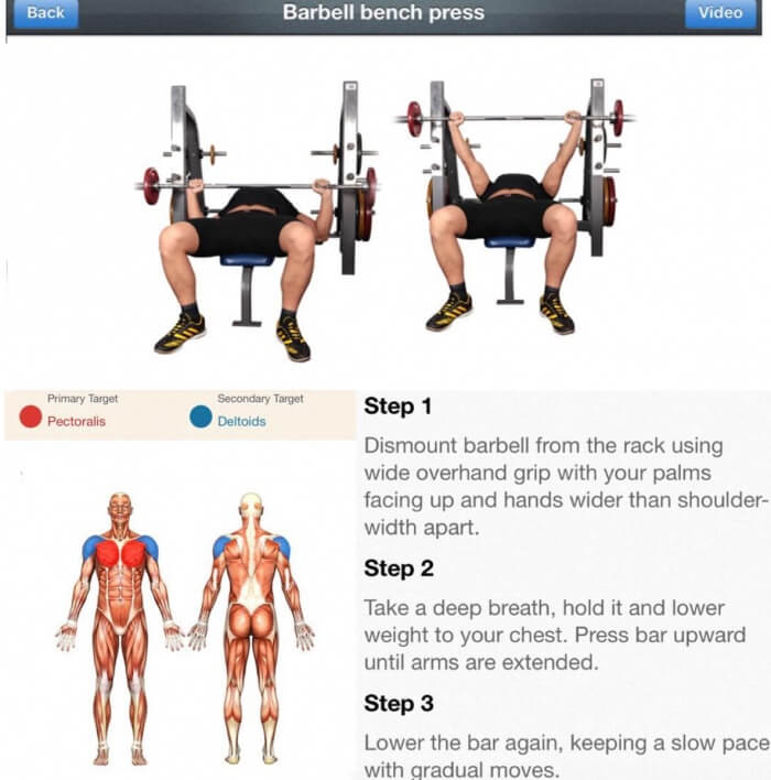 Barbell Bench Press ???? Best Fitness Chest Workout Plan
