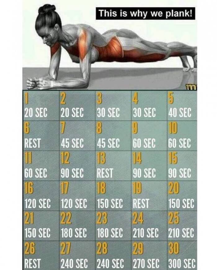 Plank Workout Plan - Healthy Sixpack Training