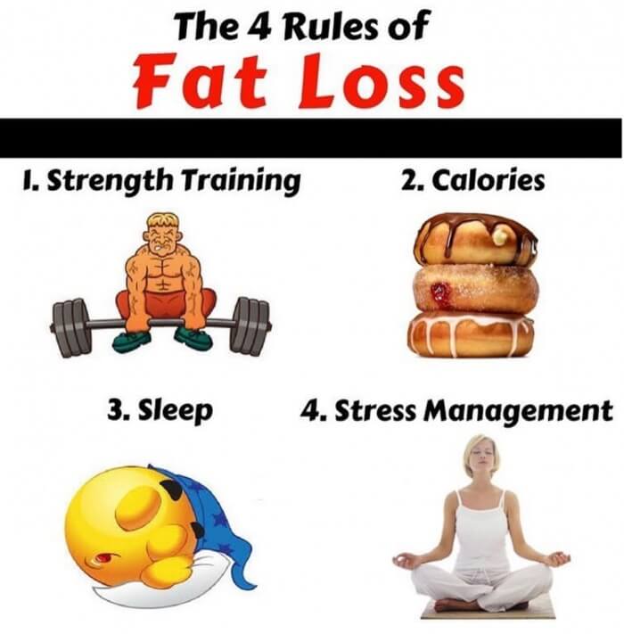 The 4 Rules Of Fat Loss - Must Read