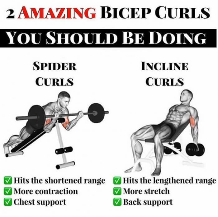 2 Amazing Biceps Curls You Should Be Doing
