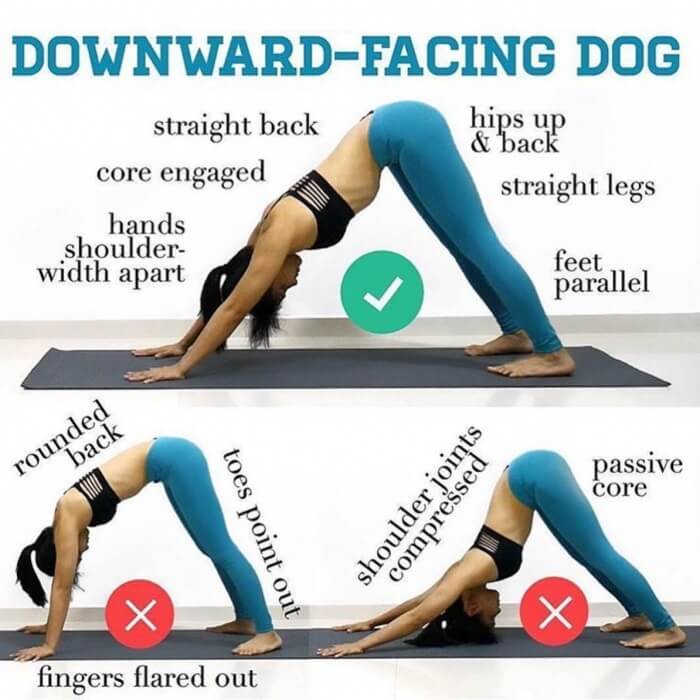Downward-Facing Dog Right vs Wrong
