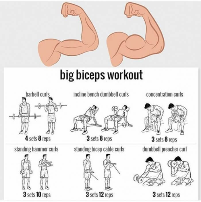 Big Biceps Workout - Strong Arm Workout