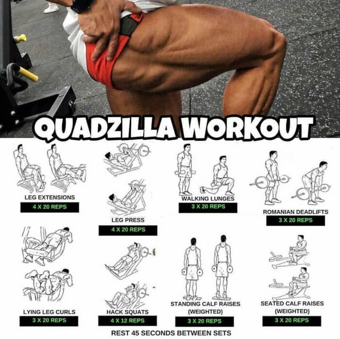 Quadzilla Workout - Healthy Fitness Leg Training Plan