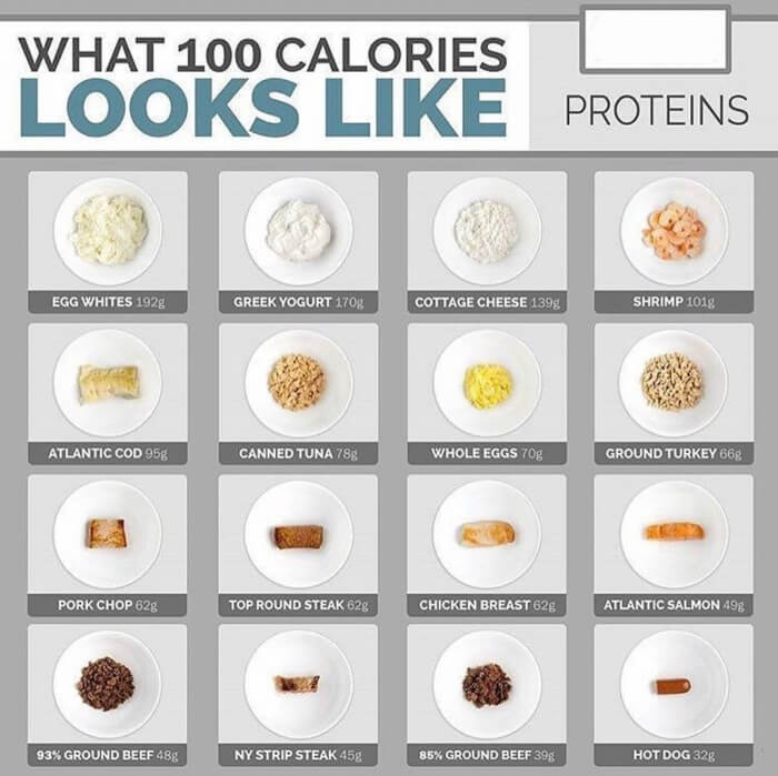 What 100 Calories Looks Like - Must Read
