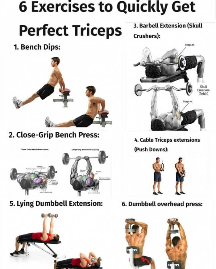 6 Exercises To Quickly Get Perfect Triceps Arms Training