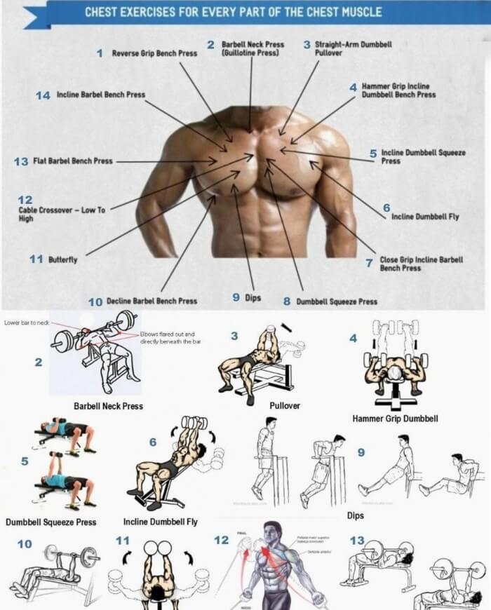 Best of Chest Workout - Yeah We Train ! - Workouts, Exercises & More
