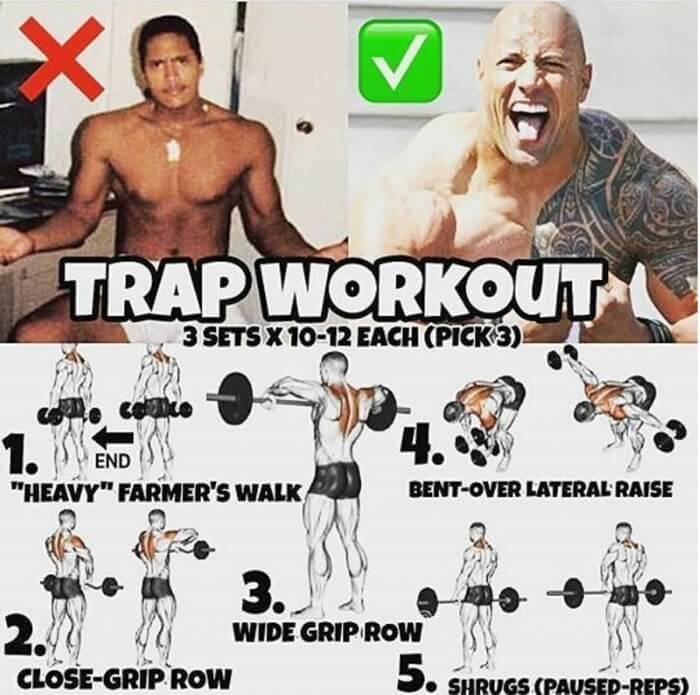 Trap Workout From The Rock