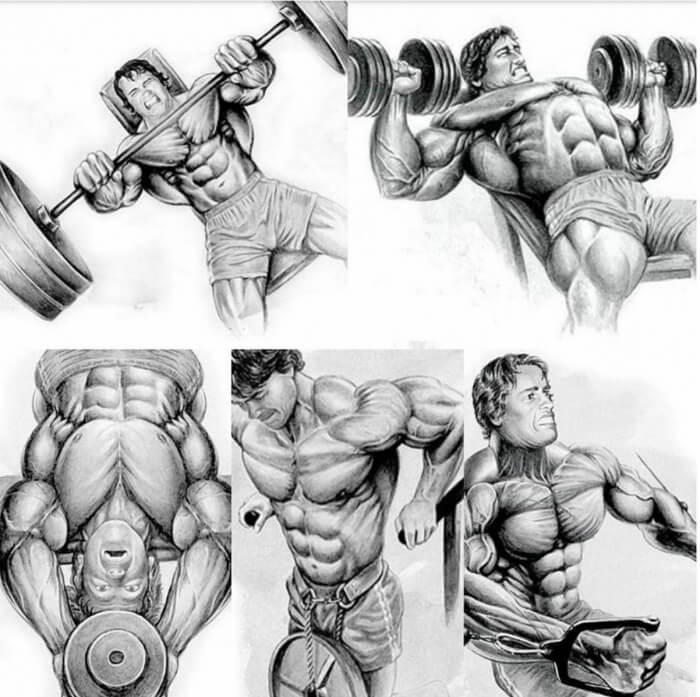 Arnold Top 5 Chest Exercises! 