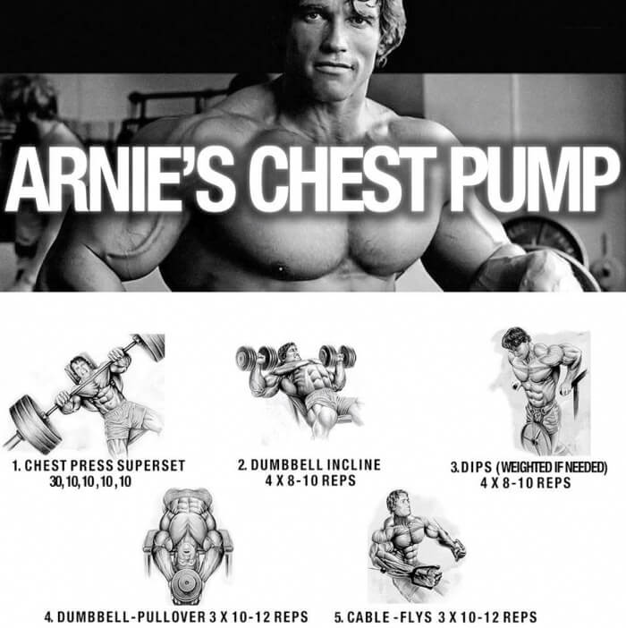 Arnies Chest Pump ! Healthy Fitness Workout Plan