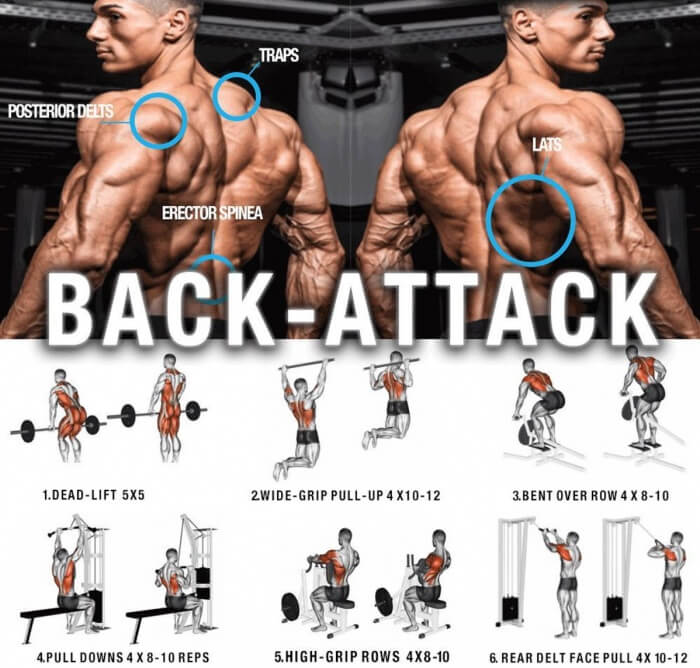 Strong Back Attack Training ! Healthy Fitness Workout Plan