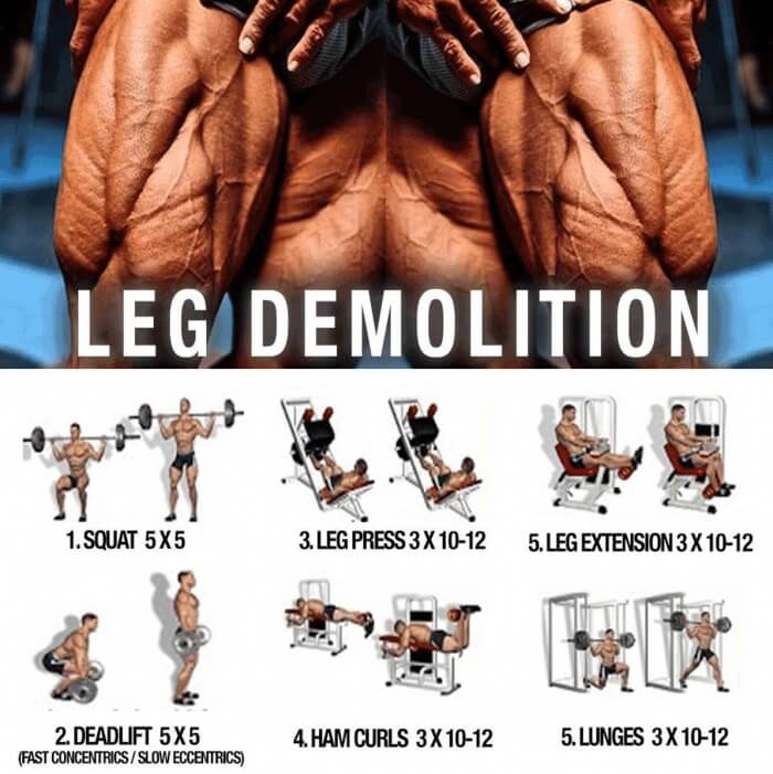 Leg Demolition Training ! Healthy Fitness Workout Plan