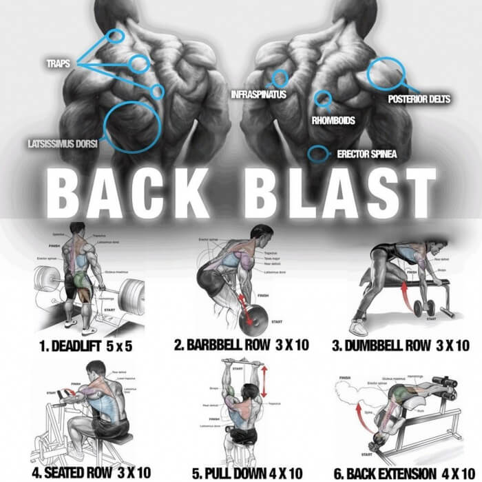 Big Back Blast Training ! Healthy Fitness Workout Plan