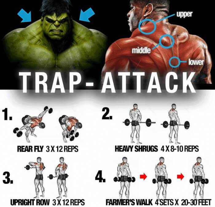 Trap-Attack-Training ! Healthy Fitness Workout Plan