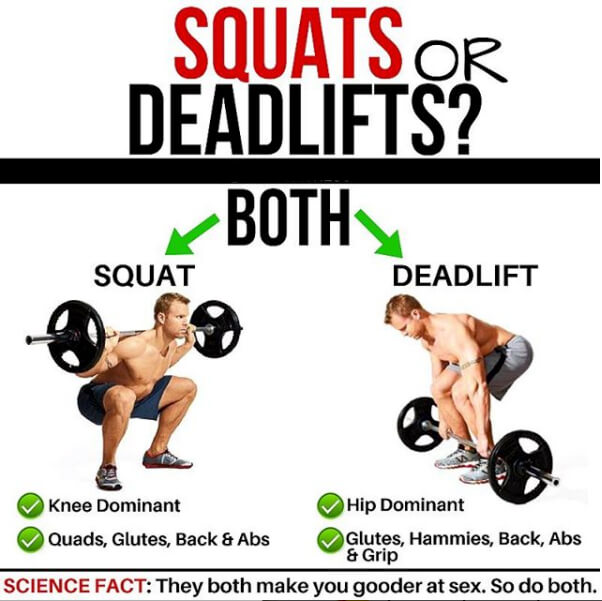 Squats or Deadlifts? What do you prefer?