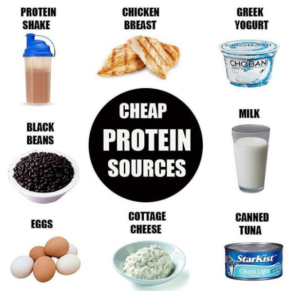 Cheap Protein Sources! Healthy Fitness Tips