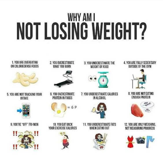 Why Am I Not Losing Weight? Must Read