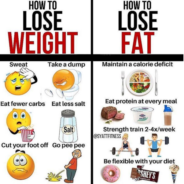 How to Lose Weight vs Fat!!! Must Read