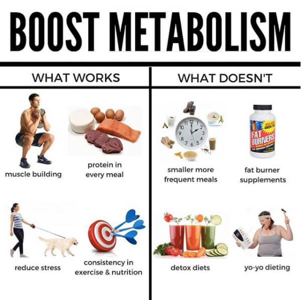 Boost Metabolism! What Works vs What Doesnt