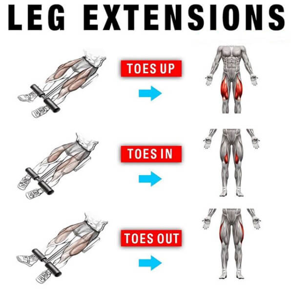 Leg Extensions Workout