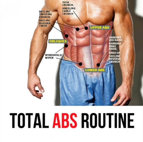 Total Abs Routine ! Healthy Fitness Sixpack Ab Training