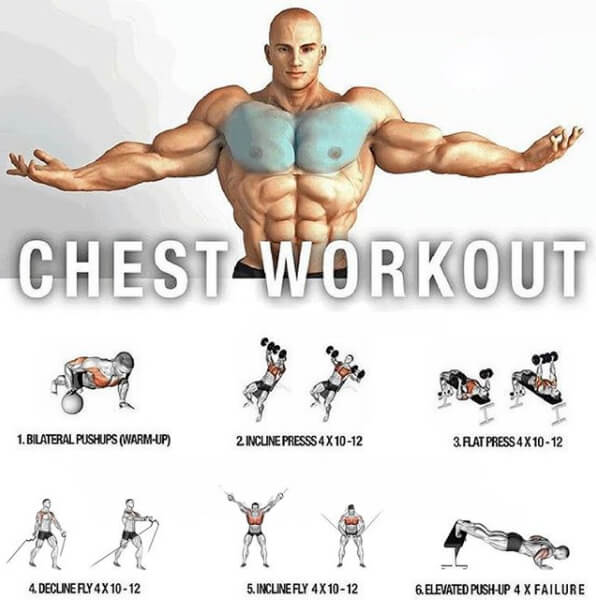 Total Chest Routine ! Healthy Fitness Body Training