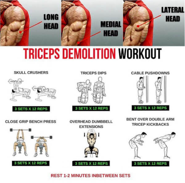 Triceps Demolition Workout! Hardcore Arm Training - Yeah We Train