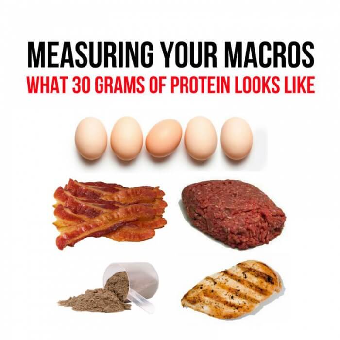 Measuring Your Macros! What 30 Grams Of Prtein Looks Like