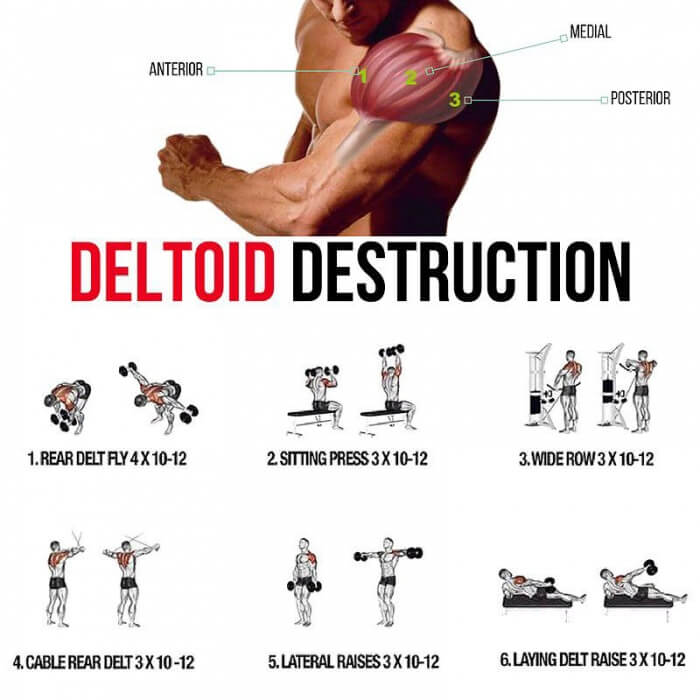 Deltoid Destruction! Shoulders Training Plan