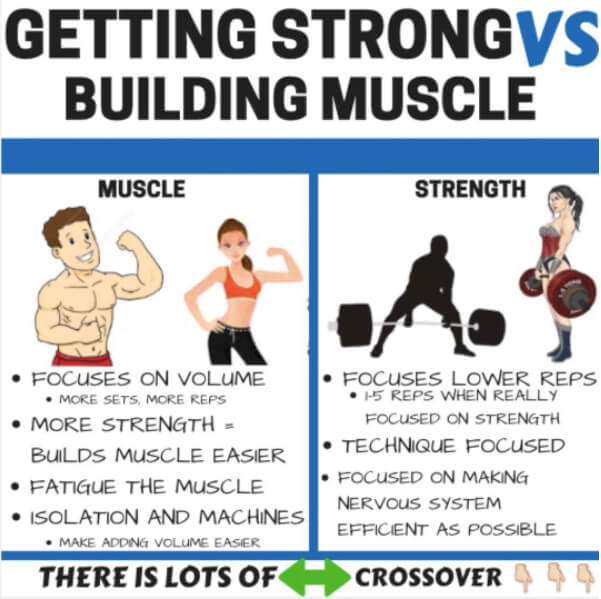 Getting Strong vs Building Muscle! Healthy Fitness Training Tips