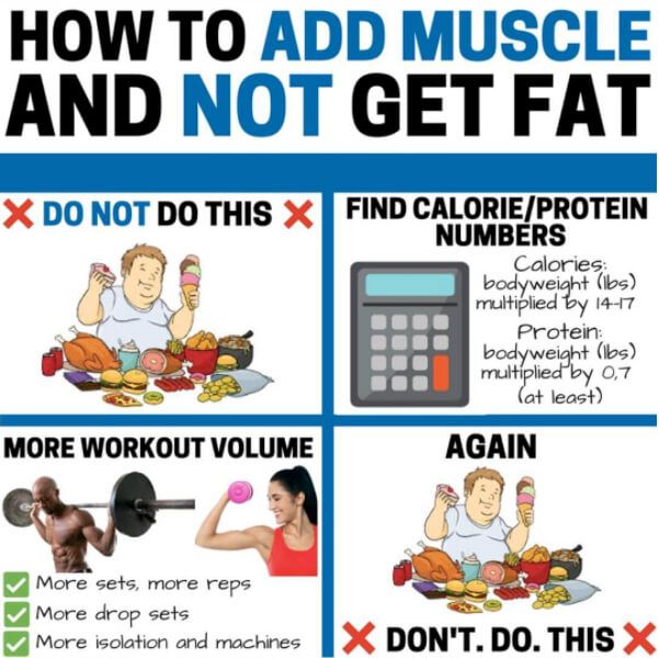 How To Add Muscle And Not Get Fat! Healthy Eating Tips