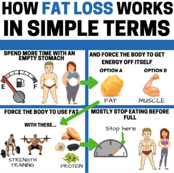 How Fat Loss Works In Simple Terms! Healthy Eating Tips Train