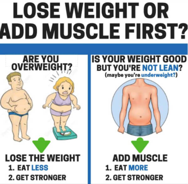 Lose Weight Or Add Muscle First! Healthy Fitness Training